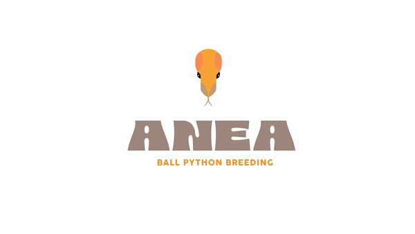Mi tienda